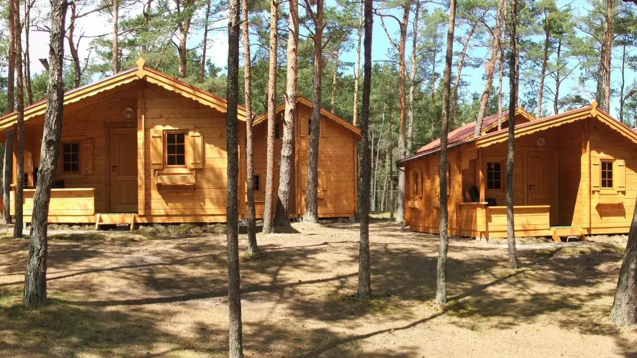 Drewniane domki letniskowe w lesie, blisko morza. Idealne miejsce na wypoczynek.