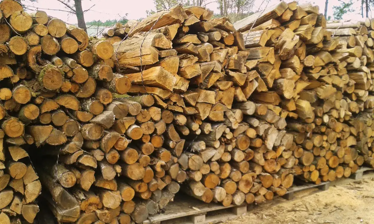 Un tas de robinier bois de chauffage, empil&eacute; sur des palettes, pr&ecirc;t pour l'hiver.