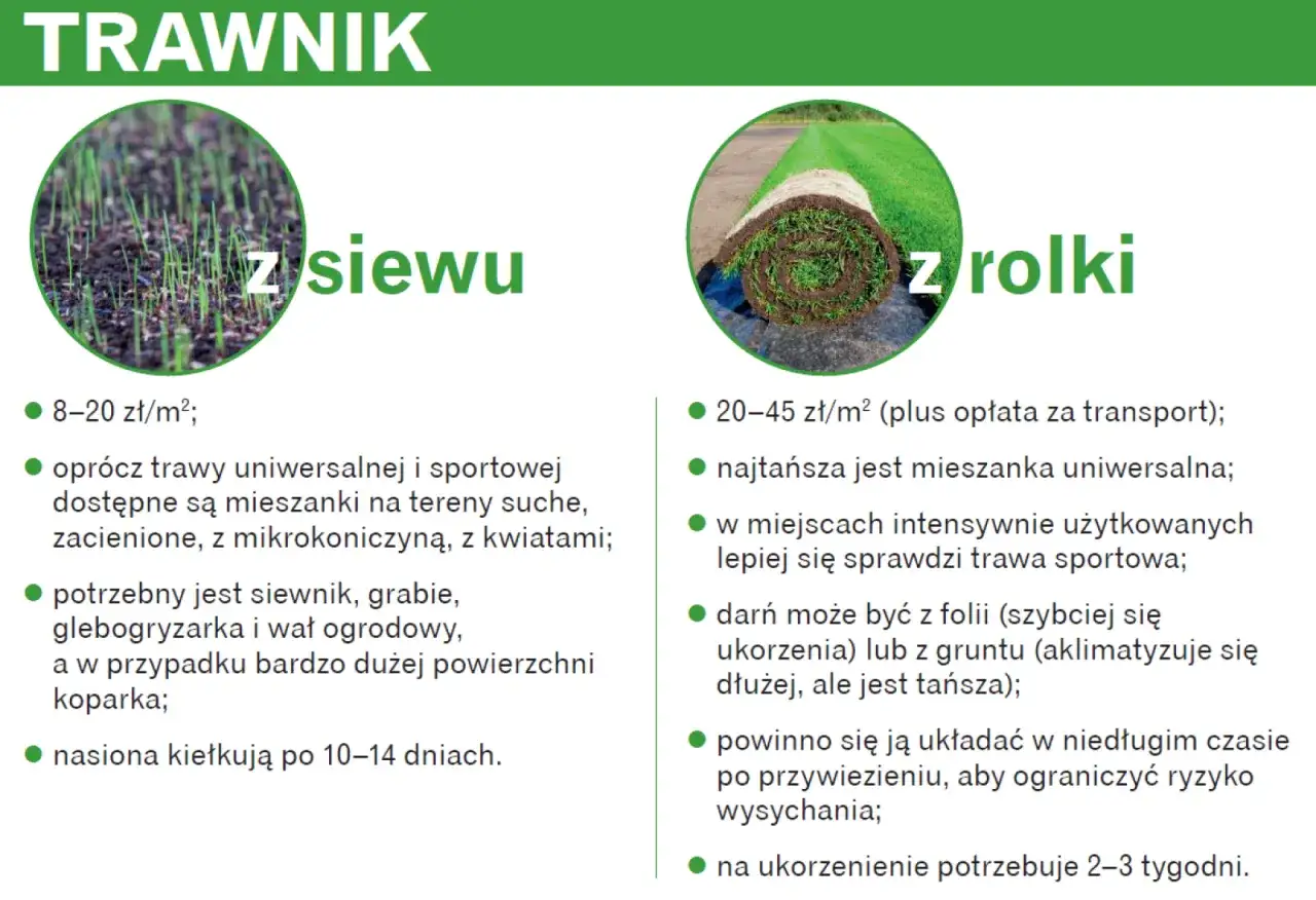 Jak założyć trawnik z siewu czy z rolki? Porównanie kosztów, potrzebnych narzędzi i czasu ukorzenienia.