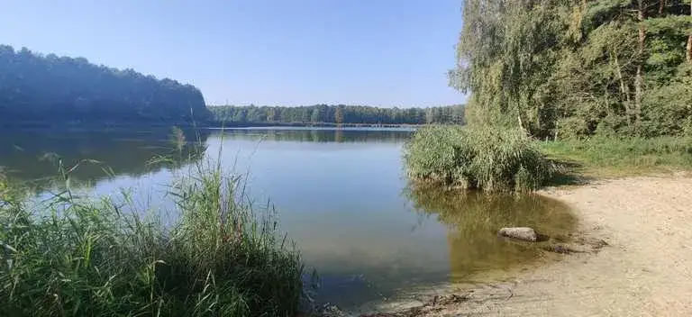 Zdjęcie Mszczonów atrakcje: Odkryj najlepsze miejsca na relaks i zabawę