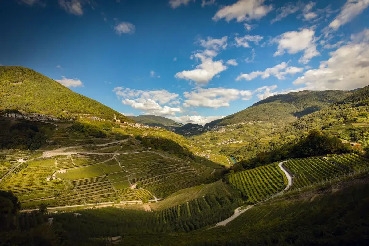 Terrazzamenti di vigneti che si estendono sui pendii verdi, con piccoli borghi incastonati tra le colline. Un paesaggio idilliaco che evoca i pregiati vini Trentino Alto Adige.