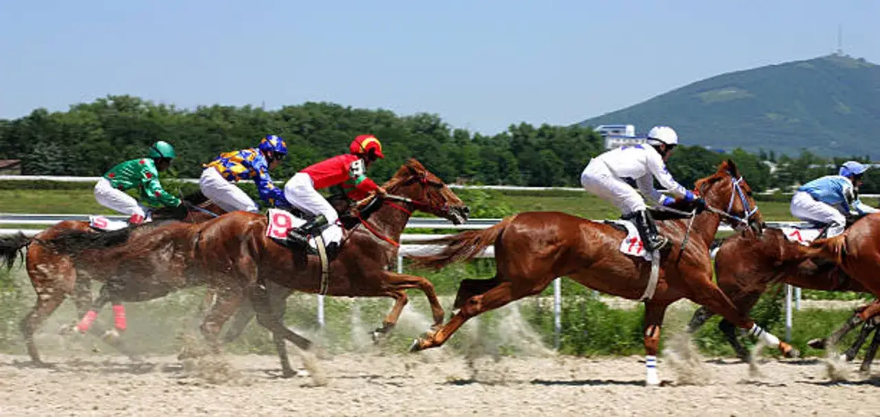 Course de chevaux anim&eacute;e, jockeys en action. Les num&eacute;ros sur les selles et les couleurs vives des casaques sont des &eacute;l&eacute;ments cl&eacute;s pour toute statistique hippique.