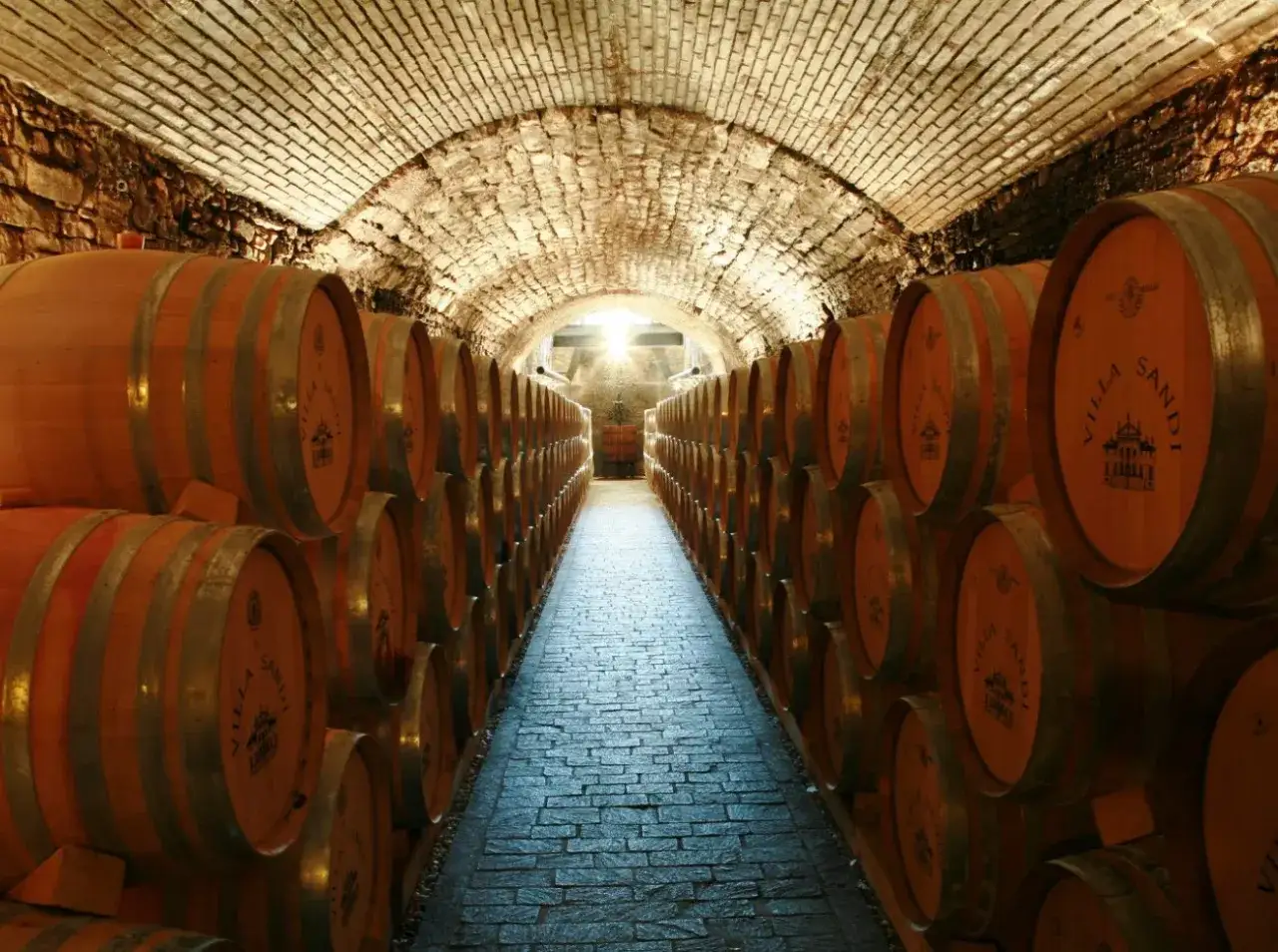 Corridoio di una cantina con file di botti di legno marchiate 