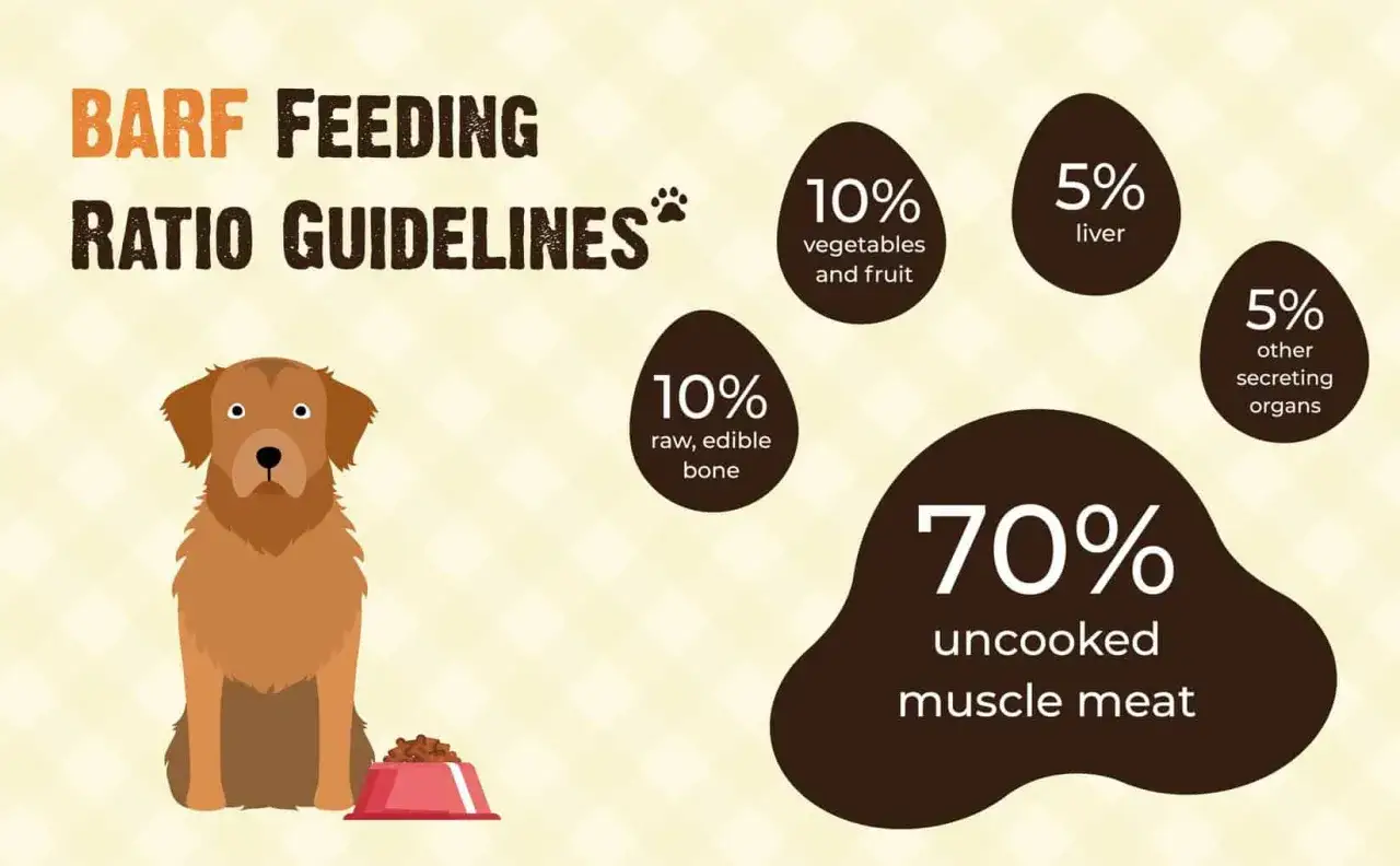 Gu&iacute;a de dieta BARF para cachorros: 70% carne, 10% hueso, 10% vegetales/frutas, 5% h&iacute;gado, 5% &oacute;rganos.