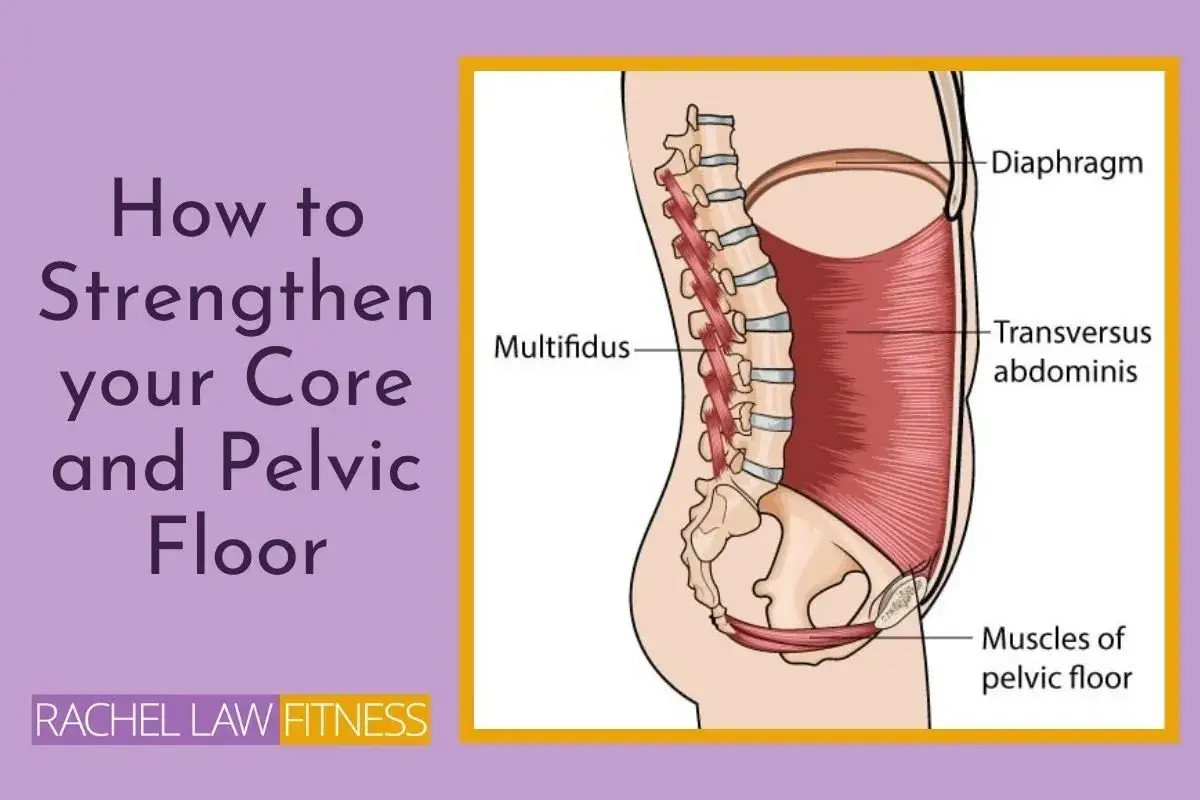 Illustration visar hur man stärker sina core muskler, inklusive diafragma, transversus abdominis och bäckenbotten.