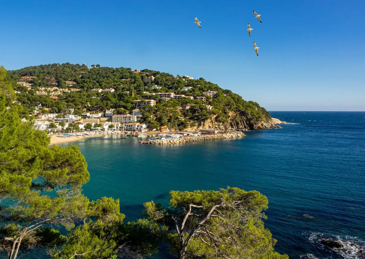 Widok na zatokę z białymi domkami na wzg&oacute;rzu, plażą i mariną. Mewy szybujące nad turkusowym morzem. Idealne costa brava atrakcje.