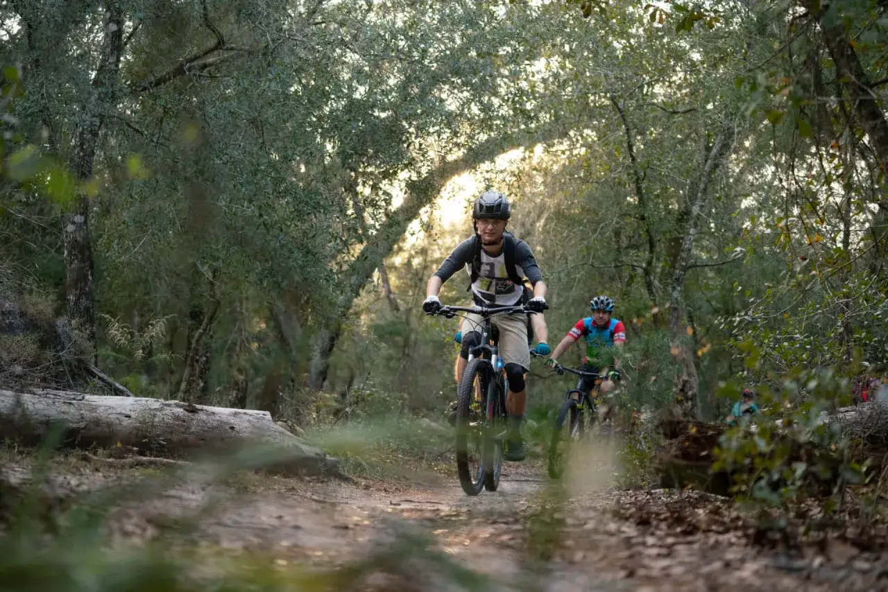 Ciclistas disfrutan de las mejores rutas del mundo en bicicleta por un sendero boscoso.
