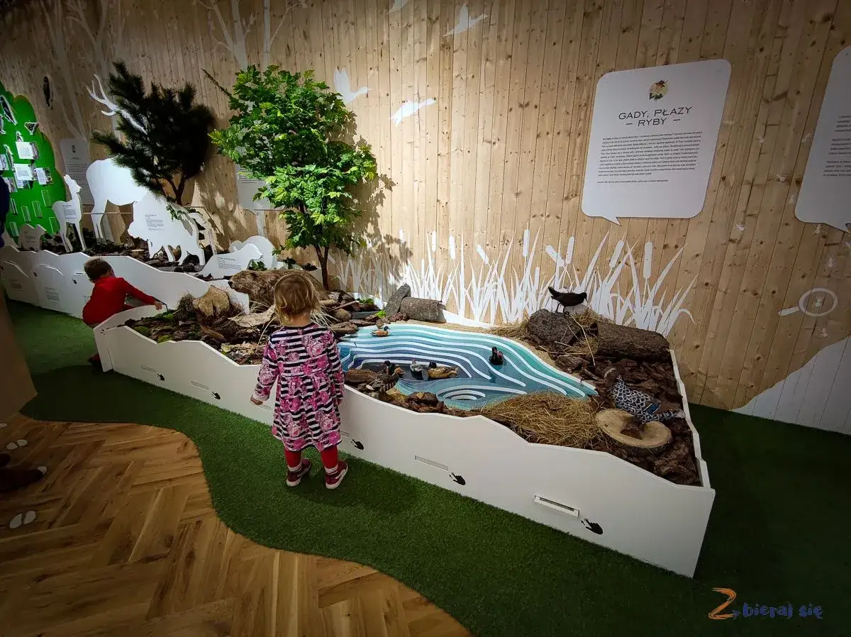 Dzieci odkrywają Karkonosze: interaktywna ekspozycja z kaczkami i stawem to świetne atrakcje dla dzieci.