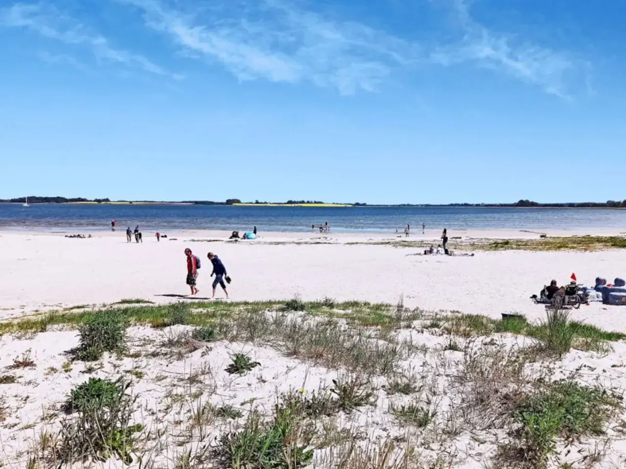 Ein sonniger Tag am Greifswald Strand. Menschen spazieren am weißen Sand, das Meer glitzert, im Hintergrund Felder.