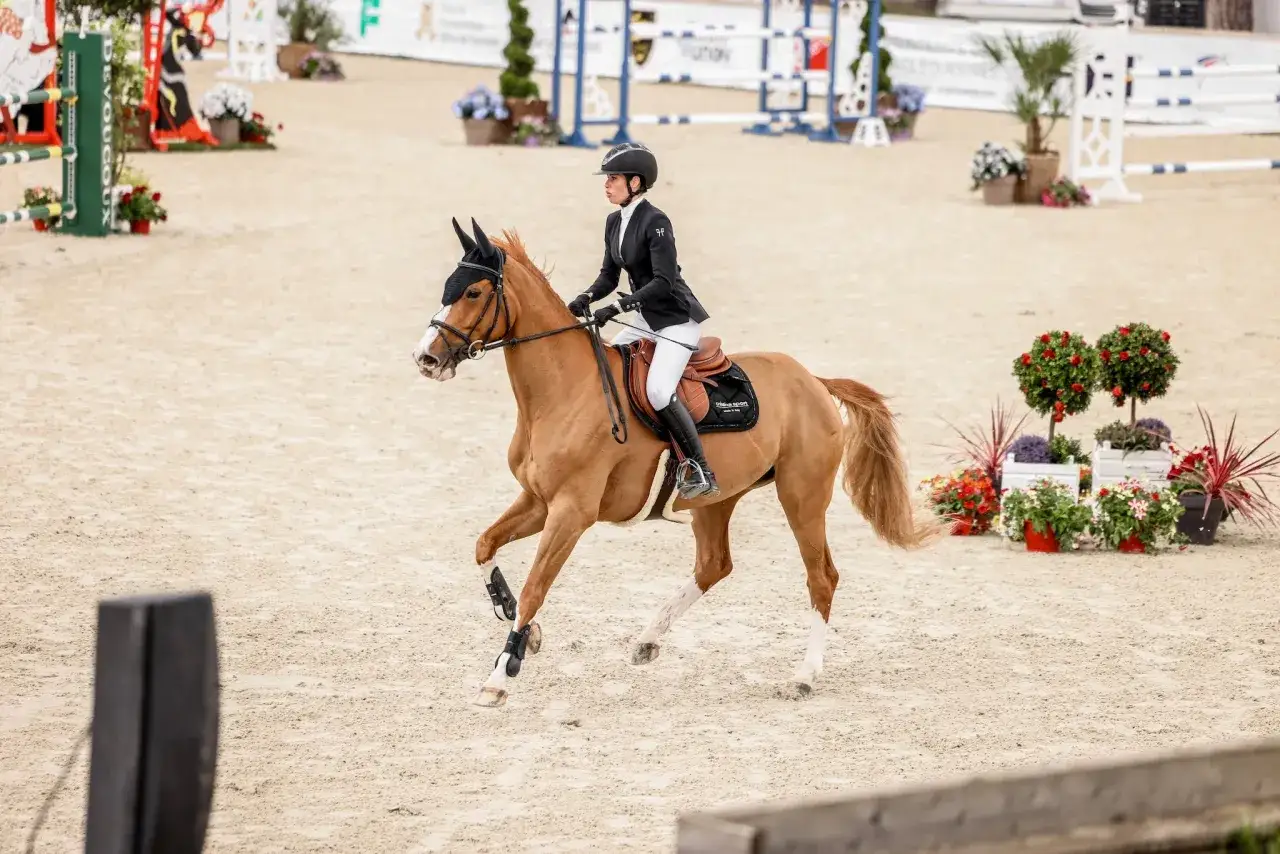 Une cavalière concentrée sur son cheval alezan, figure de manège en plein saut.