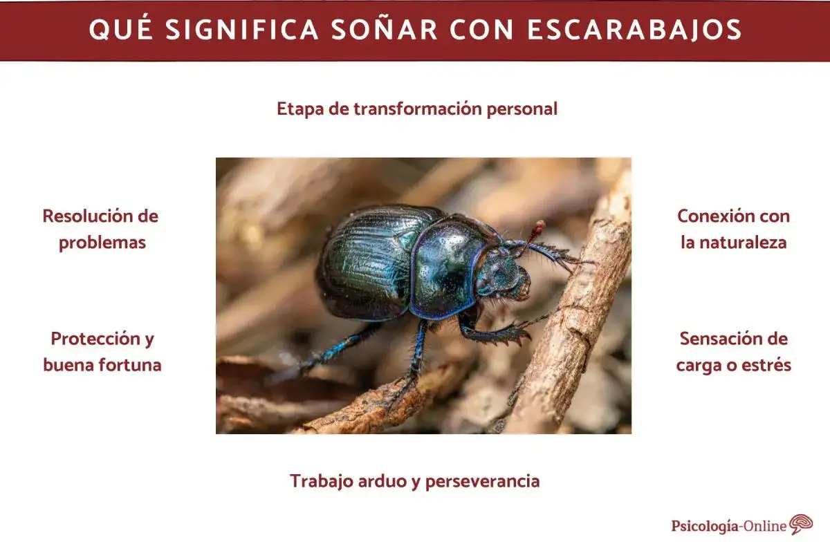Un escarabajo brillante, símbolo de transformación y perseverancia. Soñar con escarabajos puede indicar resolución de problemas o estrés.