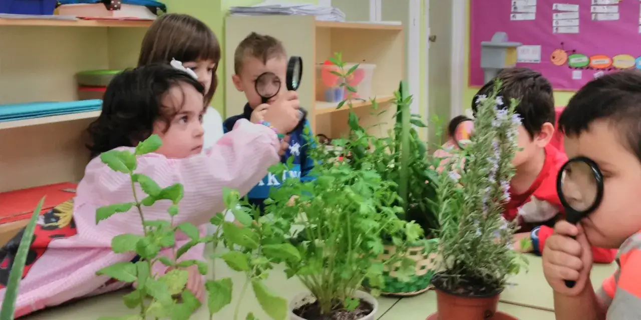 Ni&ntilde;os exploran plantas con lupas, parte de actividades para trabajar las plantas en infantil.