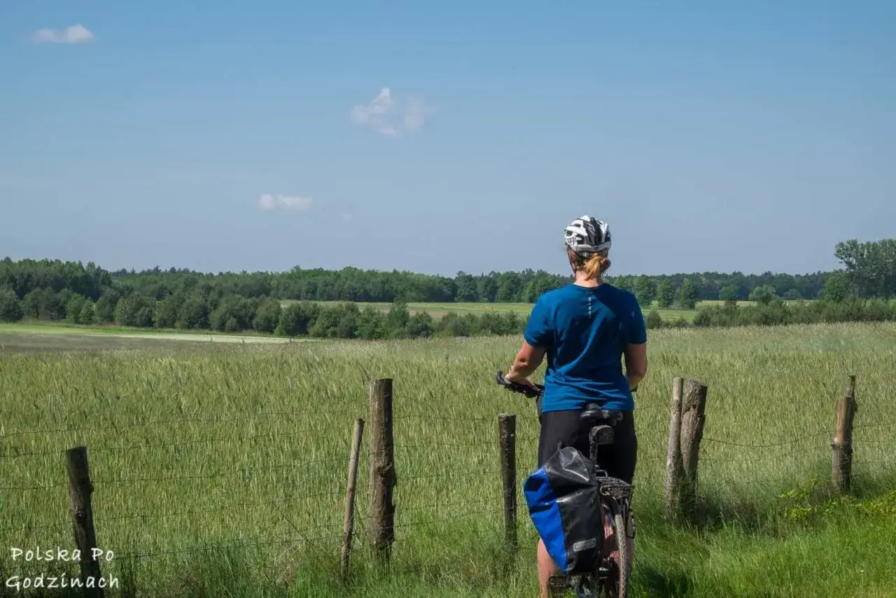 Kobieta na rowerze podziwia krajobraz na roztoczańskich trasach rowerowych.