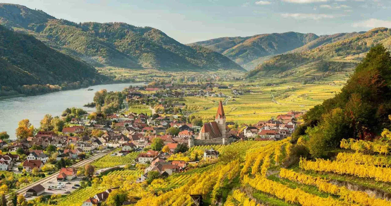 Malownicza dolina Wachau jesienią. Zobaczysz tu rzekę Dunaj, urokliwe miasteczko z kościołem i złote winnice.