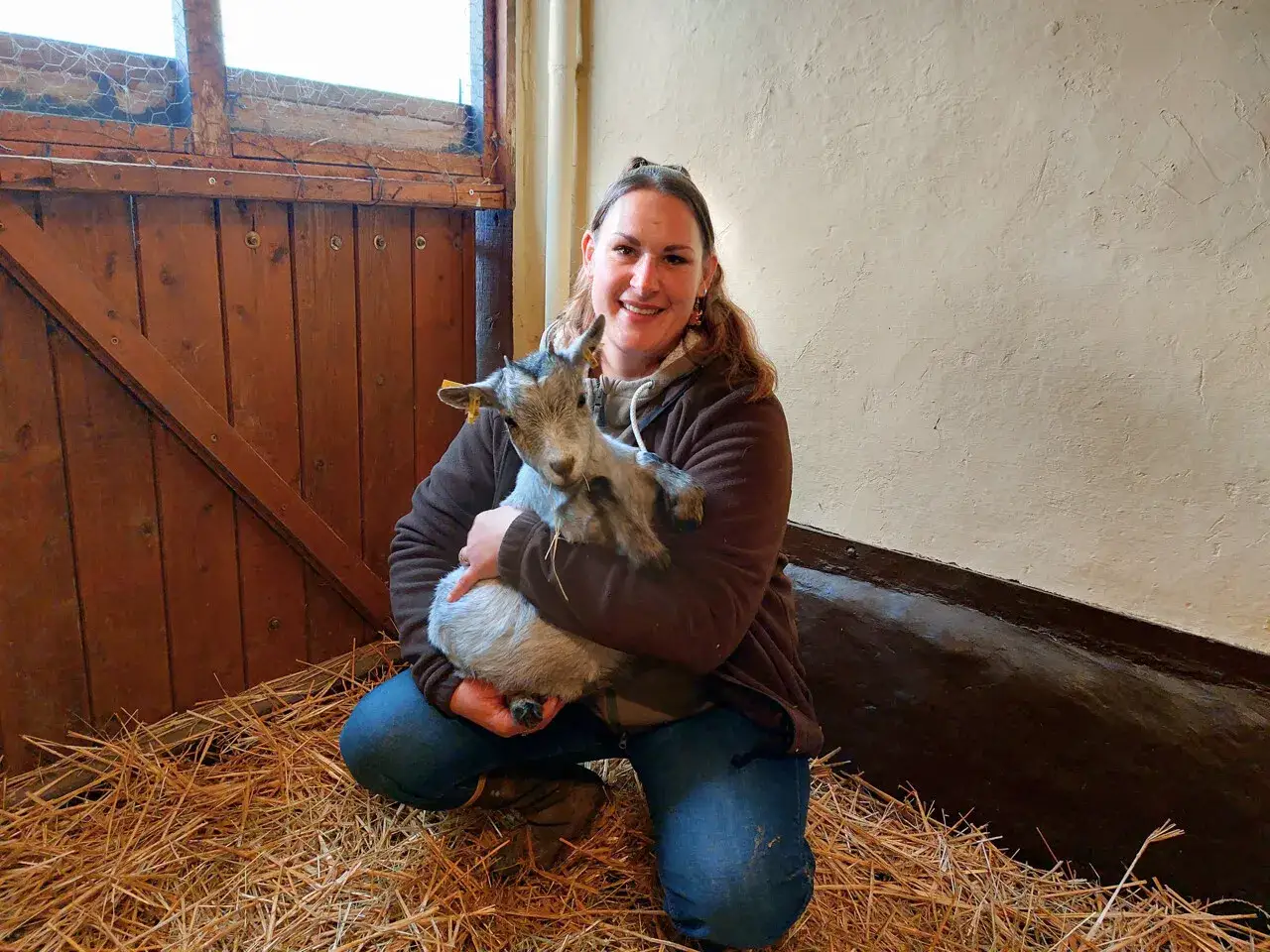 Une femme tient un chevreau dans une étable. L'espérance de vie d'une chèvre naine est longue si elle est bien soignée.