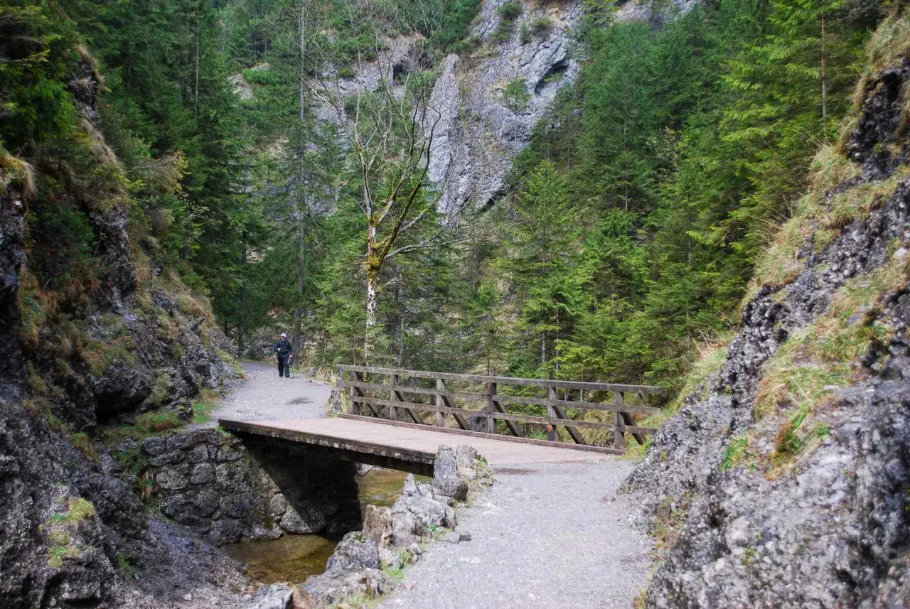 Wąska ścieżka w **dolinie białego** prowadzi do drewnianego mostku. W oddali widać turystę z kijkami, jakby wyruszał na wyprawę z wózkiem.