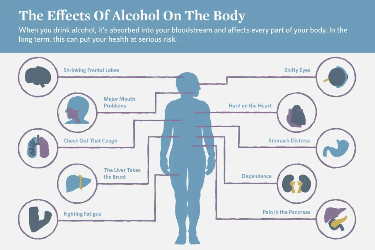 Czy alkohol to trucizna? Infografika pokazuje, jak alkohol wpływa na ciało: od problemów z jamą ustną i płucami po uszkodzenia serca, wątroby i trzustki.
