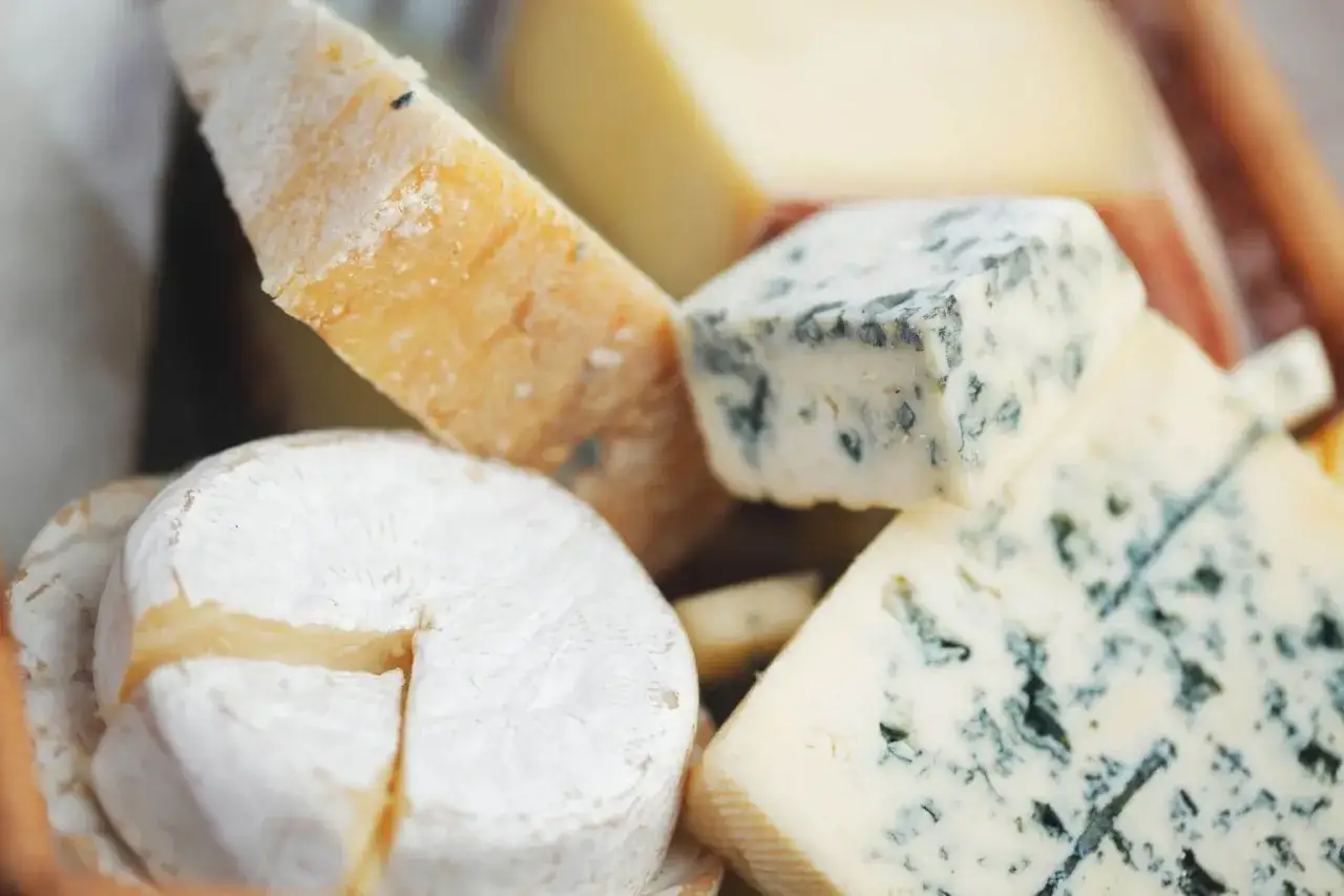sery pleśniowe brie camembert oscypek do burgera
