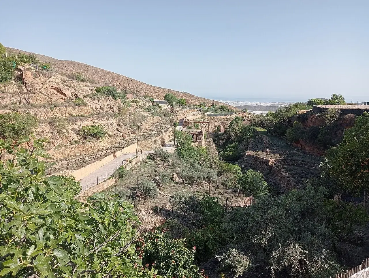 Paisaje de Celin, Almer&iacute;a, con terrazas de cultivo, vegetaci&oacute;n y el mar al fondo.