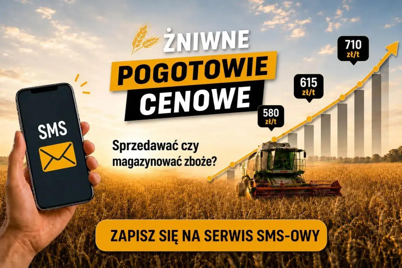 Żniwne pogotowie cenowe zboża. Sprawdź aktualną cenę i zdecyduj, czy sprzedawać, czy magazynować. Cargill oferuje serwis SMS.