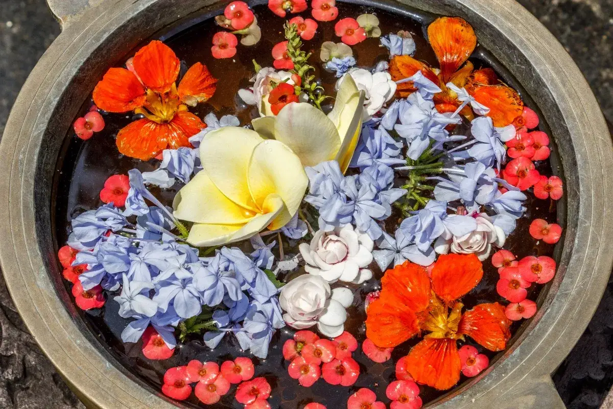 Un'antica ciotola piena di acqua di San Giovanni, con fiori colorati che galleggiano: arancioni, gialli, azzurri e rossi.