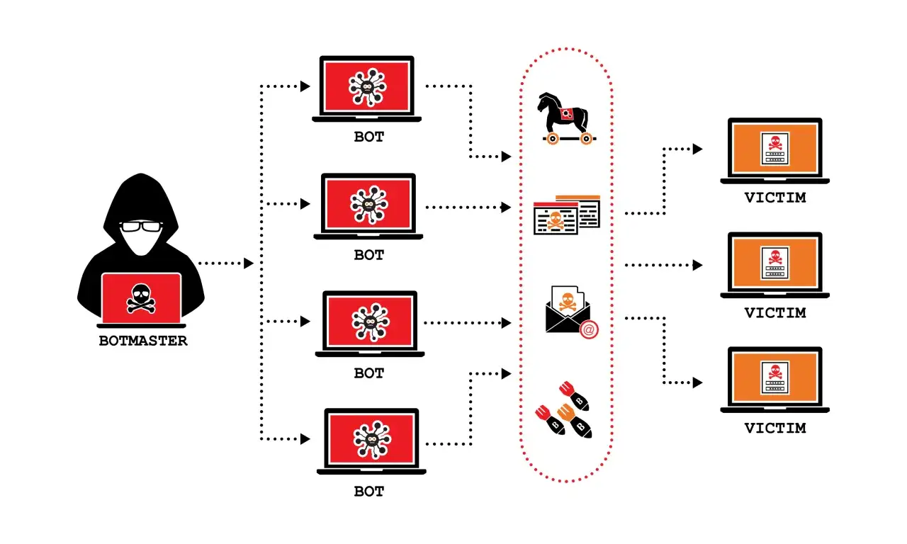 Botmaster steruje botami, które atakują ofiary. To jest schemat działania DDoS.