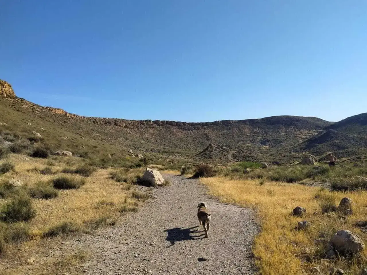 Un perro camina por un sendero hacia el **cráter del hoyazo**, un paisaje árido con colinas y cielo azul.