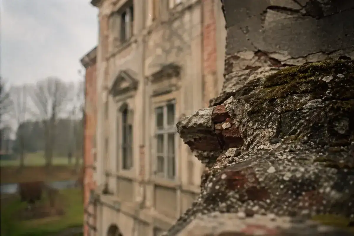 Ruiny pałacu w Sztynorcie, zarośnięte mchem i bluszczem, zapraszają do odkrywania jego tajemnic.