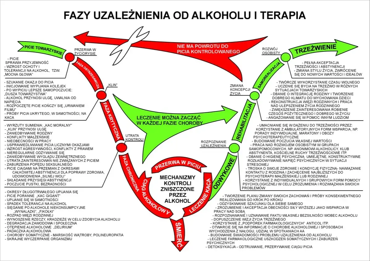 Schemat faz uzależnienia od alkoholu i terapii. Pokazuje cykl choroby, od fazy ostrzegawczej, przez krytyczną i chroniczną, aż do próby wyjścia z nałogu.