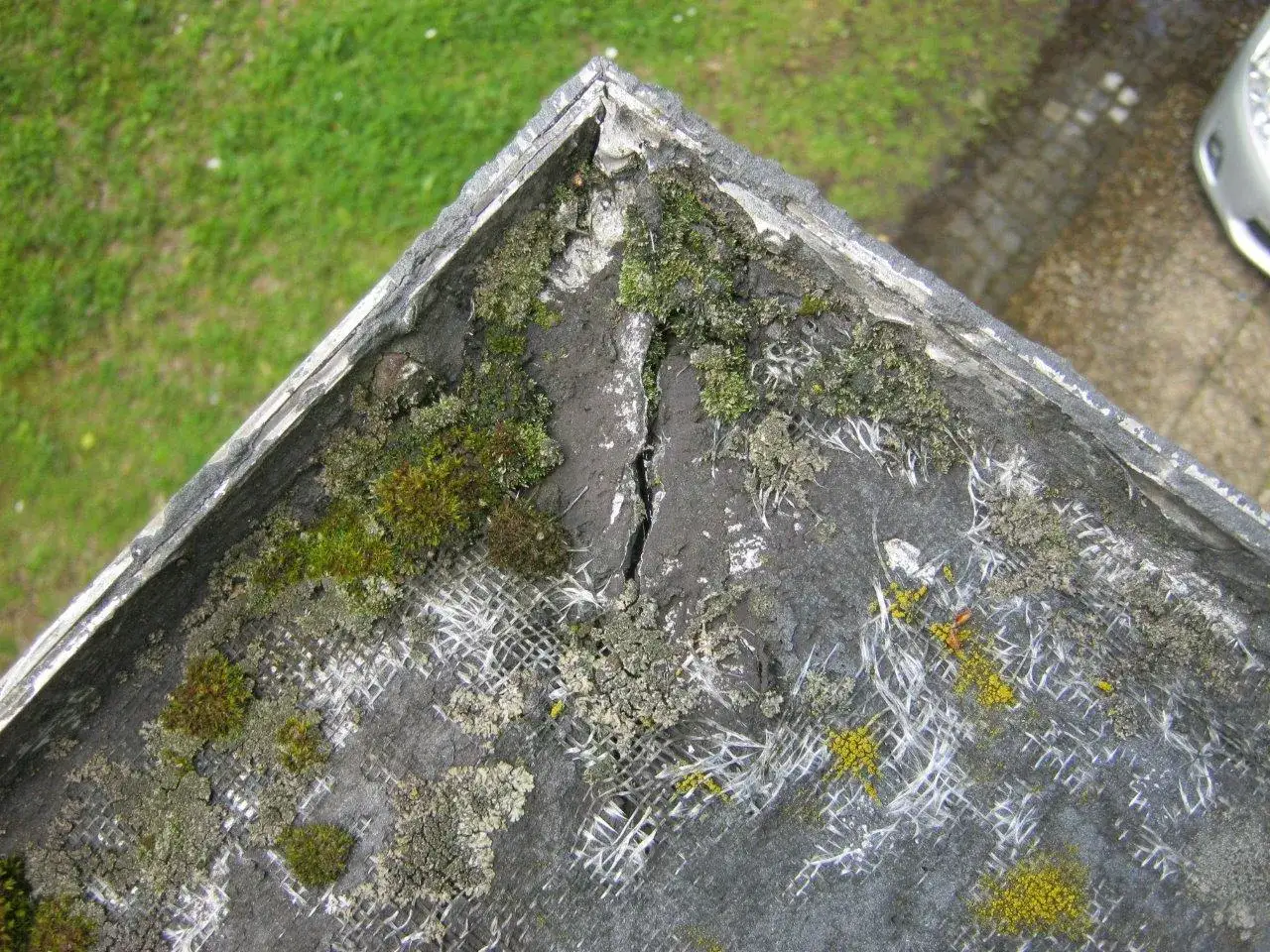 Riss im Flachdach mit Moosbewuchs, deutet auf eine Flachdach Leckageortung hin.