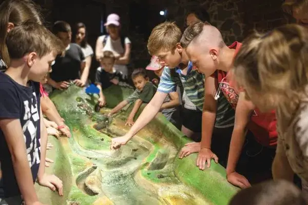przykładowe zajęcia zagroda edukacyjna