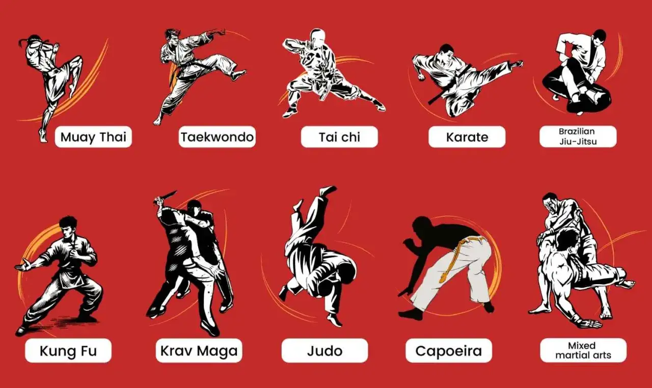 Illustrationer av olika kampsporter: Muay Thai, Taekwondo, Tai Chi, Karate, Brasiliansk Jiu-Jitsu, Kung Fu, Krav Maga, Judo, Capoeira och Mixed Martial Arts.