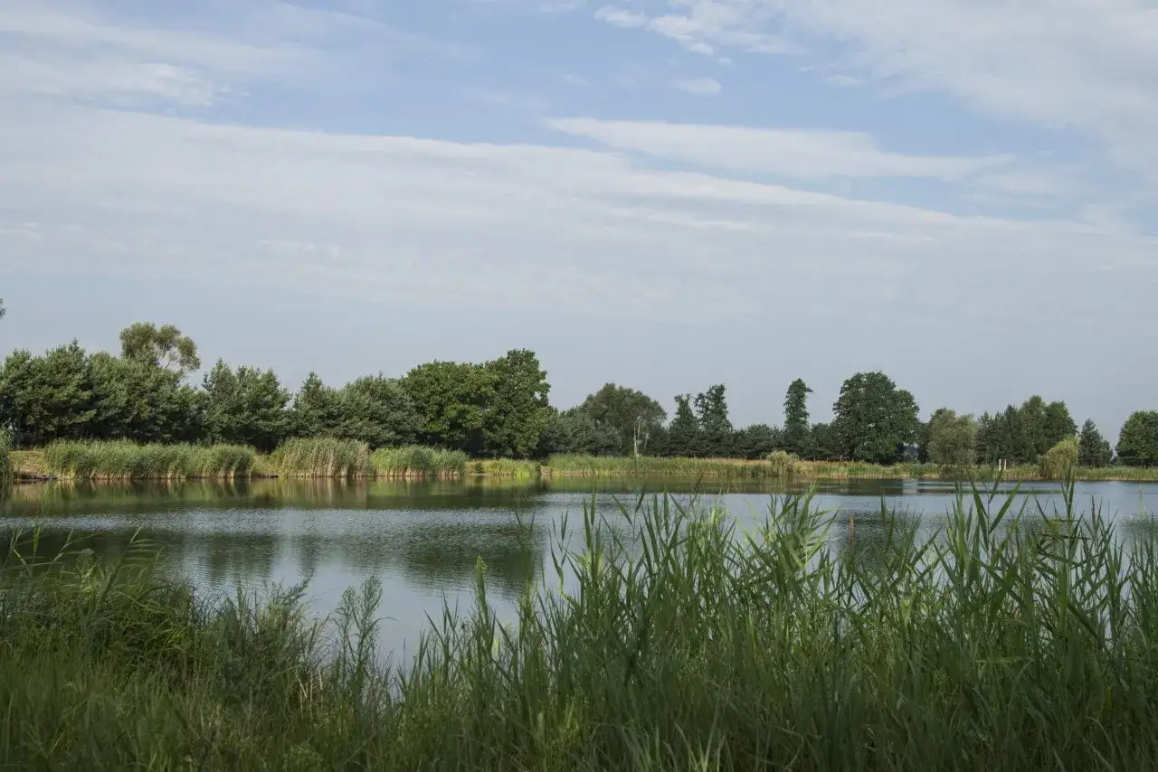 Spokojne łowisko Szmaragdowy Staw otoczone zielenią drzew i trzcin. Woda odbija błękitne niebo z chmurami.