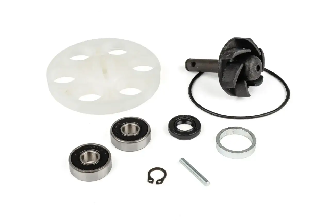 Kit revisione pompa acqua per motori Minarelli: girante, cuscinetti, paraolio, anello e fermo.