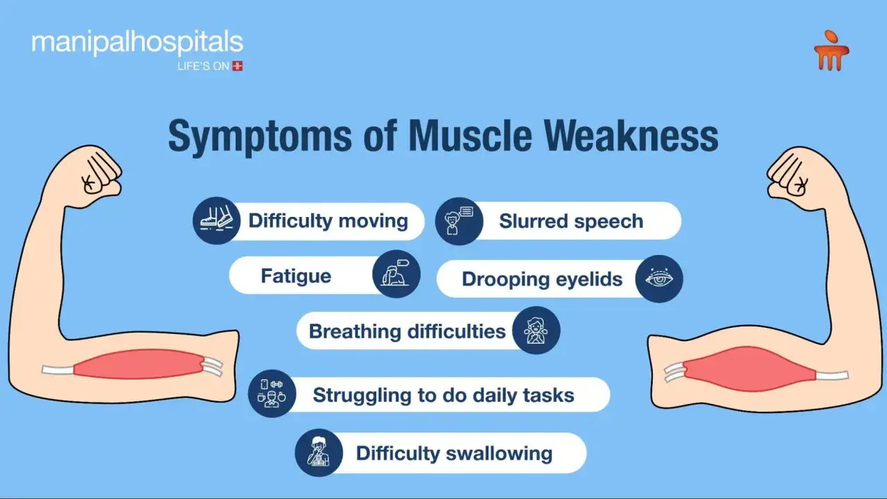Symptômes de faiblesse musculaire : difficulté à bouger, fatigue, problèmes respiratoires, difficulté à avaler, parole pâteuse, paupières tombantes, lutte pour les tâches quotidiennes. La perte de muscle peut affecter la vie.