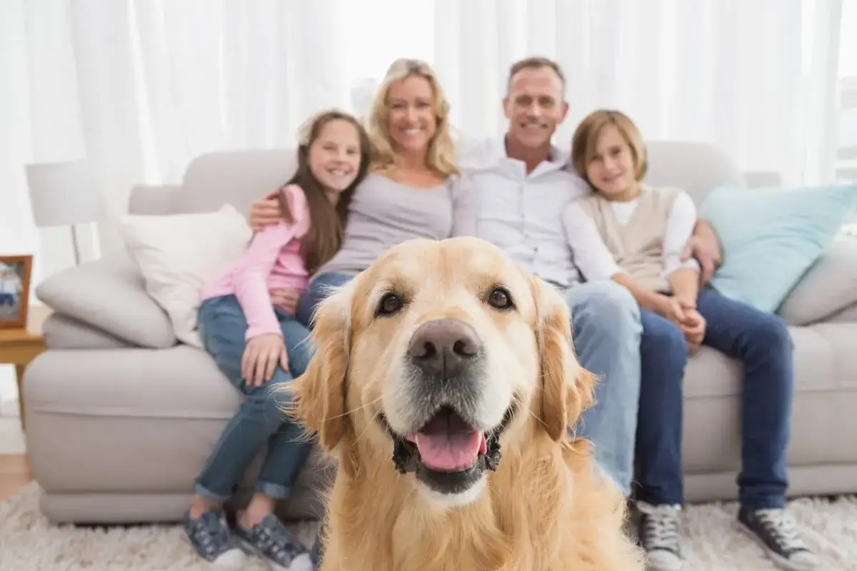 Familia feliz con su perro golden retriever. &iquest;Cu&aacute;nto cuesta mantener un perro? La respuesta est&aacute; en la alegr&iacute;a que brindan.
