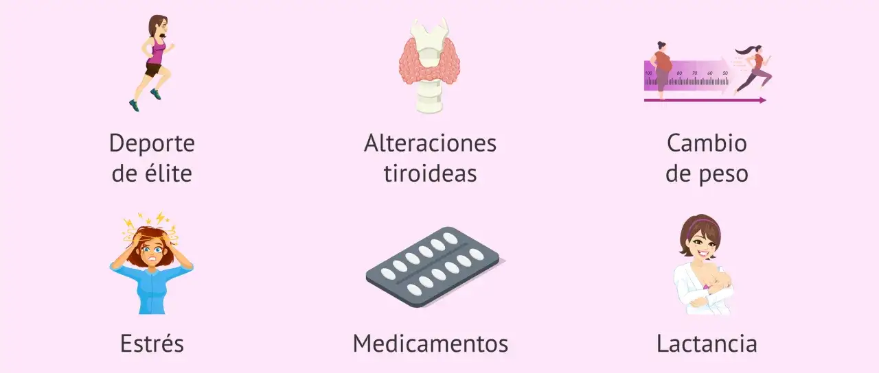 Posibles causas de por qué no me baja la regla: deporte extremo, estrés, tiroides, cambio de peso, medicamentos, lactancia.