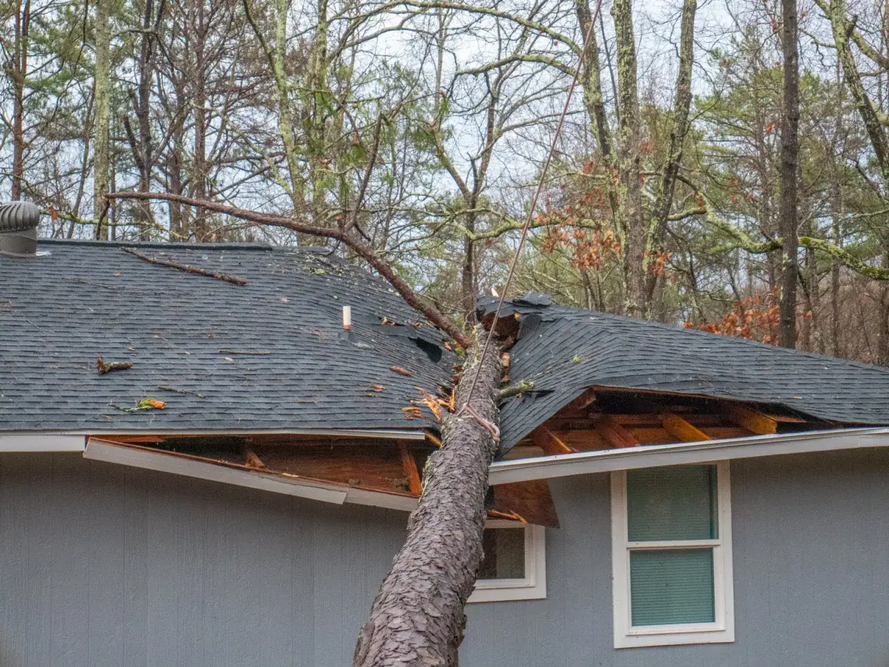 Un arbre est tombé sur un toit, causant d'importants dégâts. Les bardeaux sont arrachés et la structure est visible. Ces dégâts grele témoignent de la violence de l'événement.
