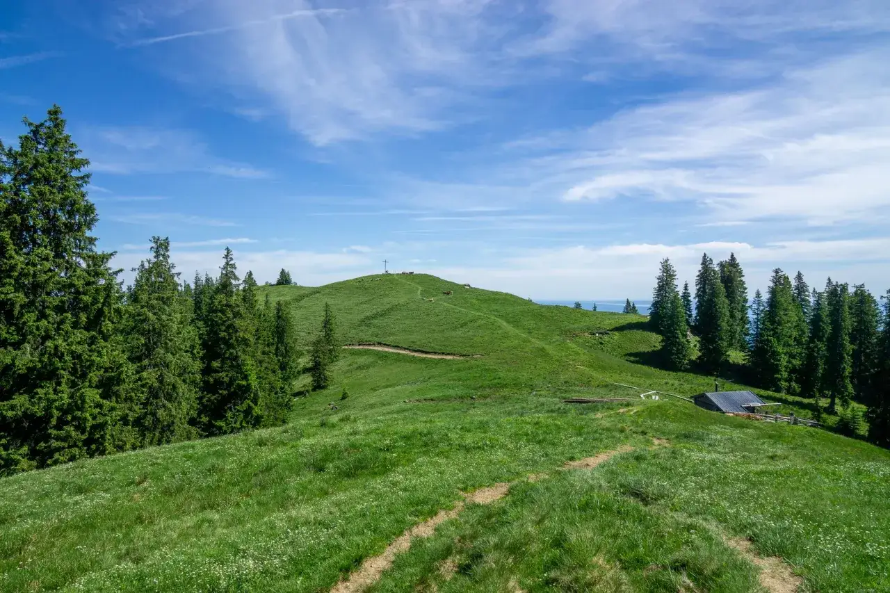 Gr&uuml;ne H&uuml;gel mit Wanderwegen und B&auml;umen, ein Kreuz auf dem Gipfel und eine H&uuml;tte. Ein **hohe Bleick** mit weiter Aussicht.