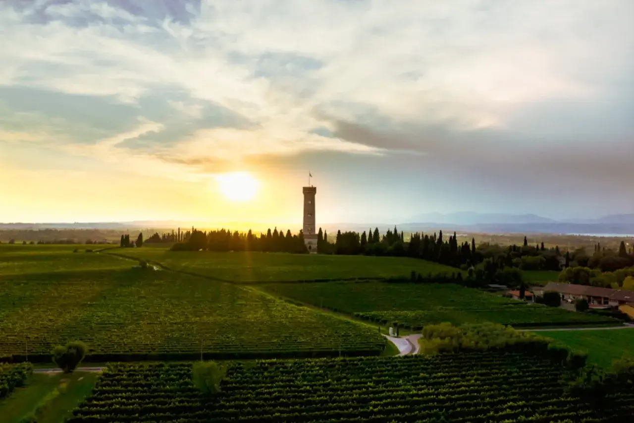 Torre panoramica tra vigneti di trebbiano di Lugana al tramonto.
