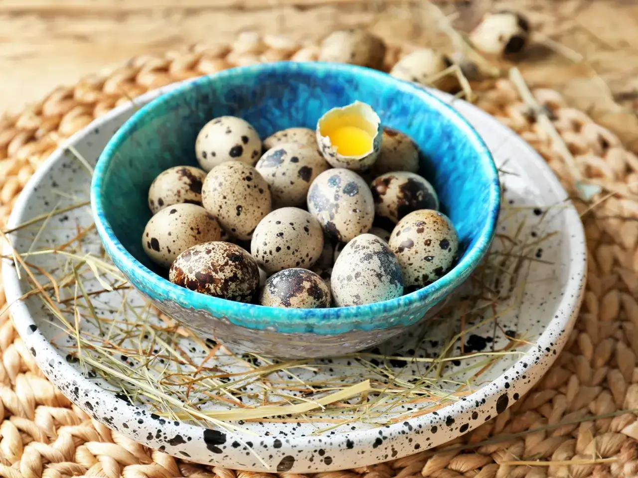 Ein blaues Schälchen mit vielen gesprenkelten Wachteleiern, bereit zum Kochen. Ein Ei ist aufgebrochen und zeigt das leuchtende Eigelb.