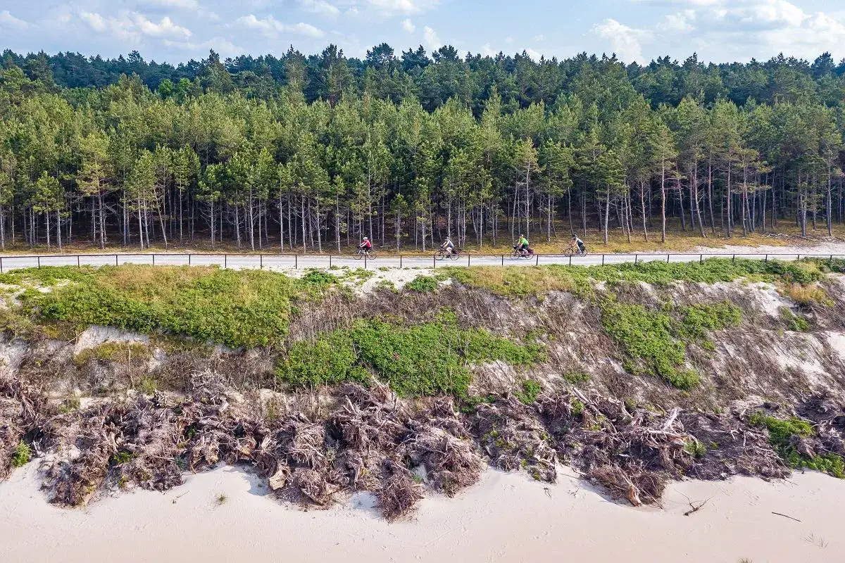 Rowerzyści przemierzają malowniczą mierzeję wiślaną trasę rowerową, otoczeni sosnowym lasem i piaszczystą plażą.