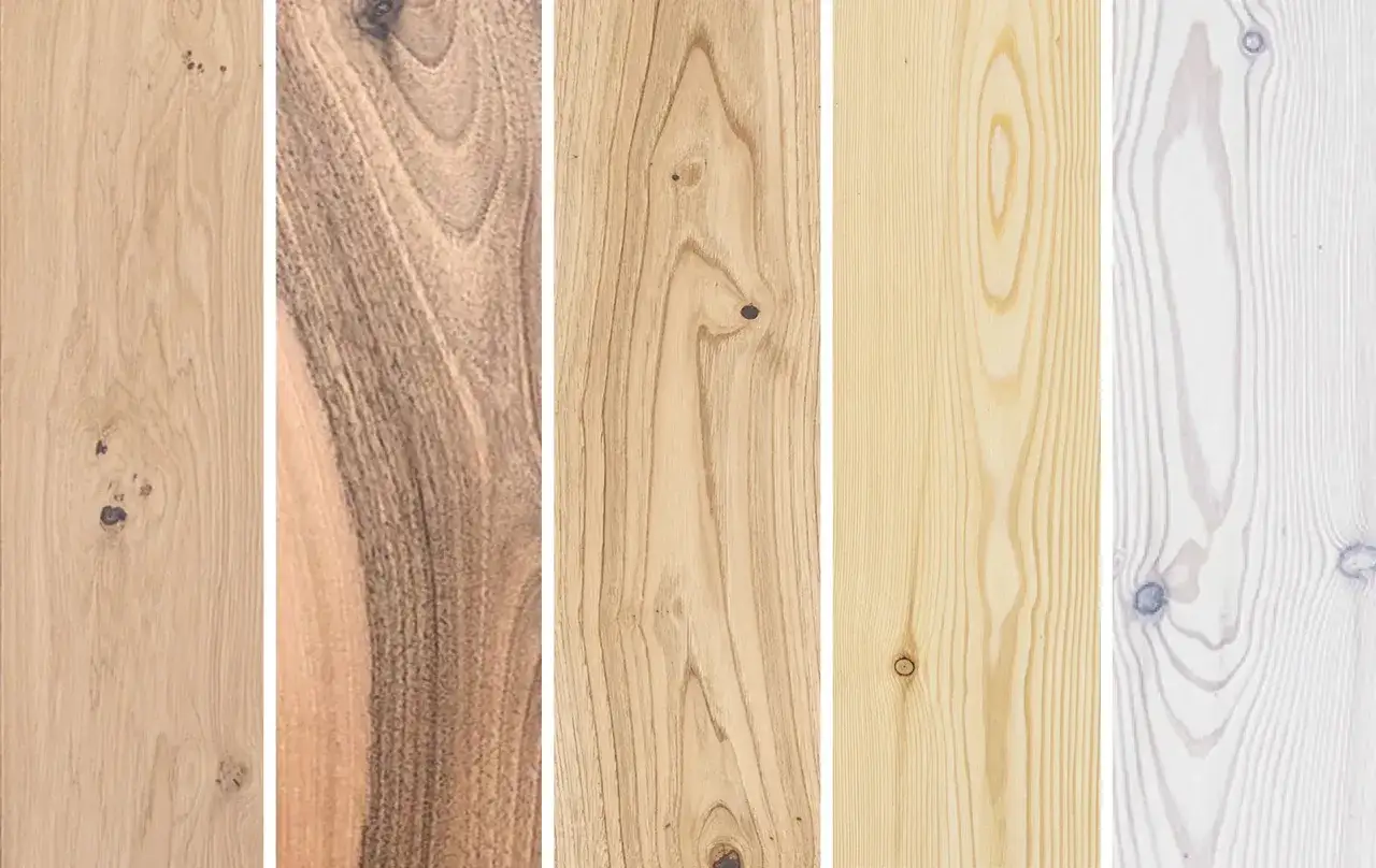 Cinco tablas de madera: dos de maderas blandas y tres de maderas duras, mostrando sus vetas y nudos.