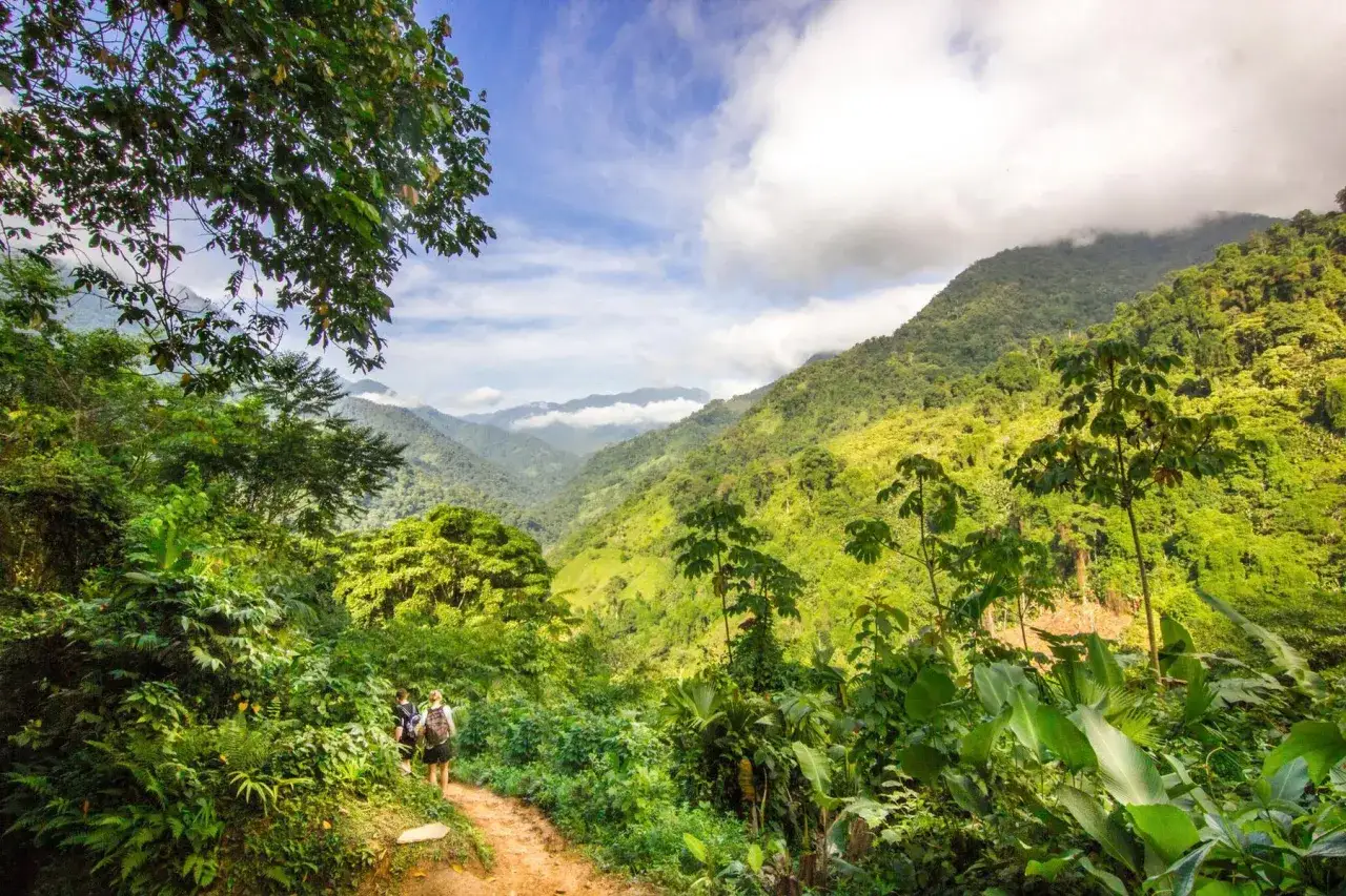 Deux randonneurs explorent un sentier verdoyant, profitant d'une vue imprenable sur les montagnes luxuriantes lors de leur randonn&eacute;e en Colombie.