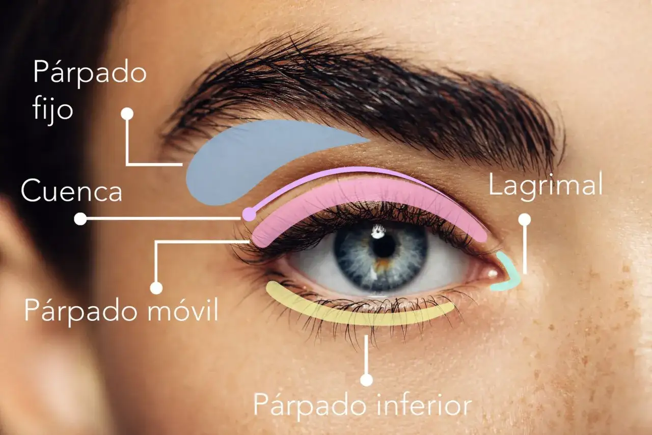Diagrama de ojo con áreas coloreadas: párpado fijo, cuenca, párpado móvil, lagrimal y párpado inferior.