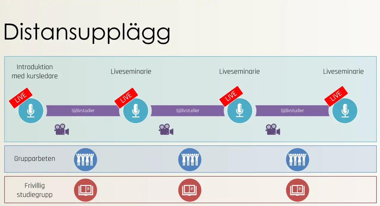 Schema f&ouml;r distansutbildning med liveseminarier, sj&auml;lvstudier, grupparbeten och frivilliga studiegrupper. En modell f&ouml;r effektiv utbildning, organisation och ledarskap.