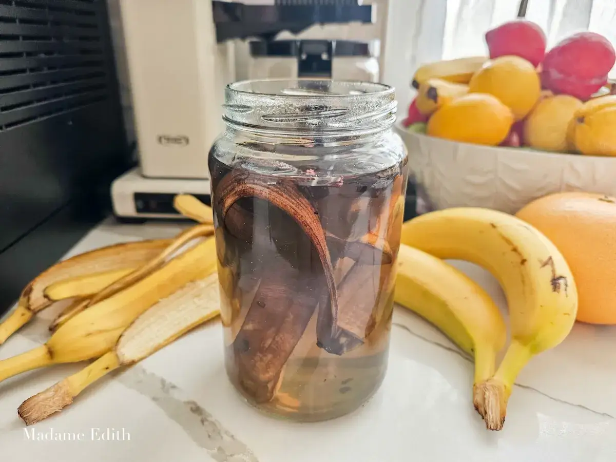 Domowy naw&oacute;z z banan&oacute;w do roślin. Sk&oacute;rki banan&oacute;w w słoiku z wodą, obok świeże banany i cytrusy.