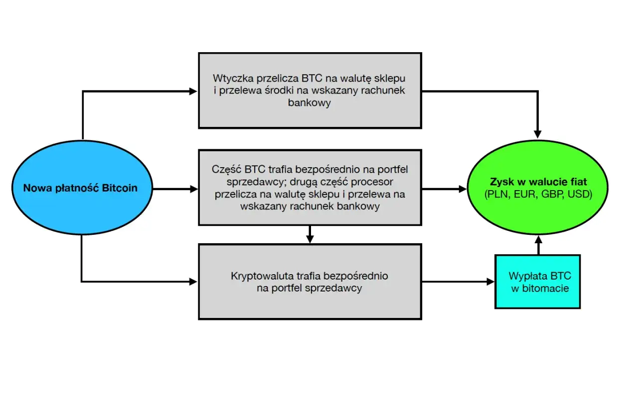 Schemat pokazuje, jak płacić bitcoinem: wtyczka przelicza BTC na walutę sklepu, część trafia na portfel sprzedawcy, a część na konto bankowe.