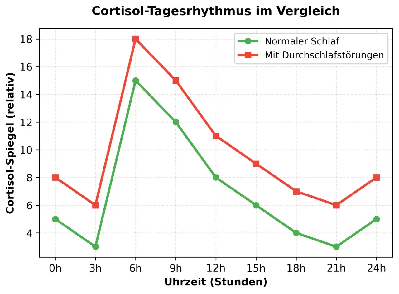 Der Cortisolspiegel steigt bei Durchschlafst&ouml;rungen um 4 Uhr stark an. Warum wache ich immer um 4 Uhr auf?