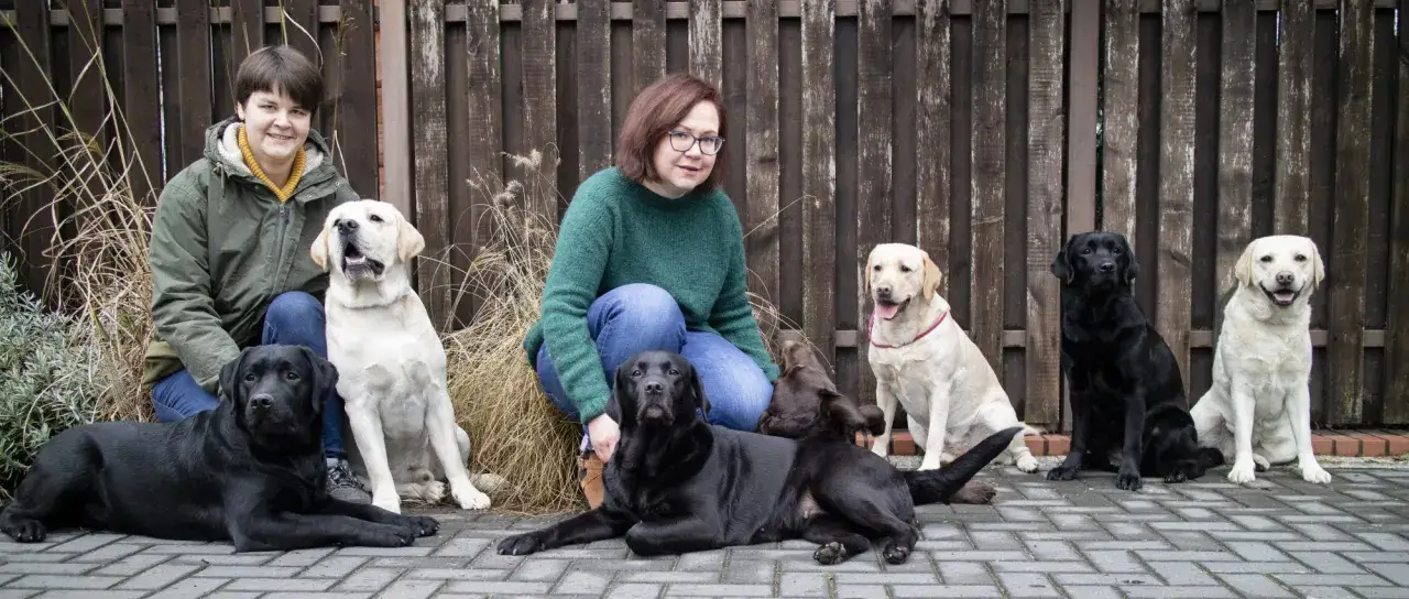 szczeniak labrador z właścicielem na spacerze